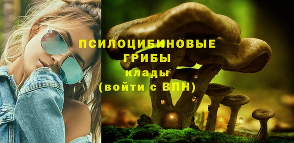 альфа пвп Лабытнанги