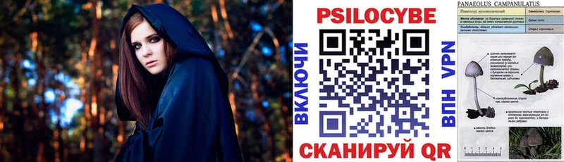 Псилоцибиновые грибы Psilocybe  Талица 